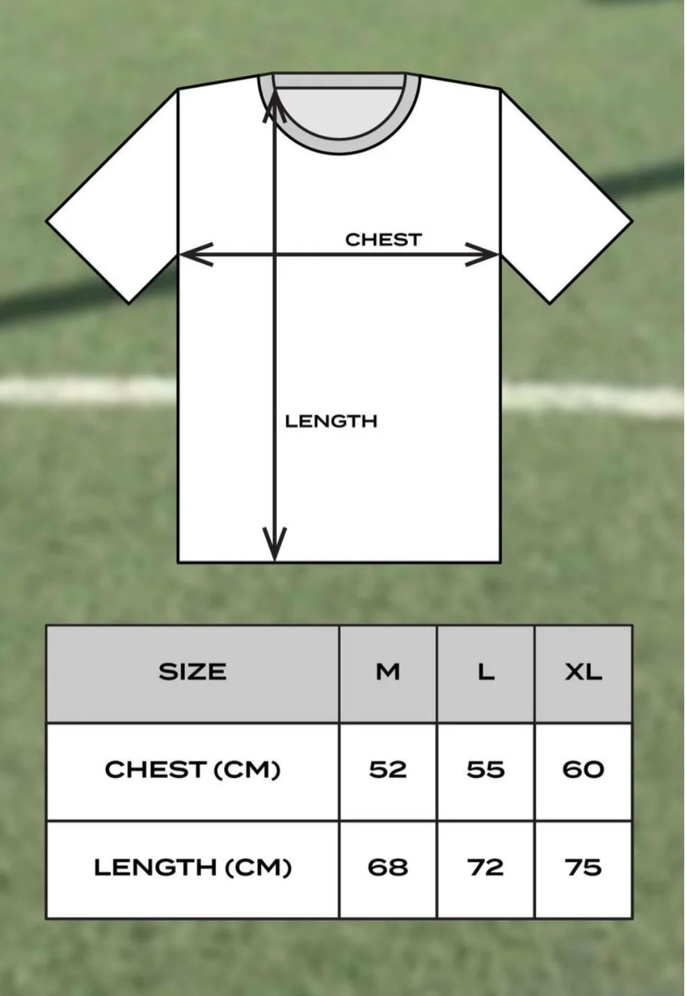 Perry White Logo Tee (L)