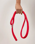 Katalyst Ether Belt