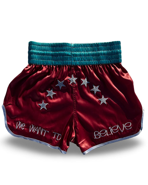 All Angels Are Aliens Muay Thai Shorts (S)