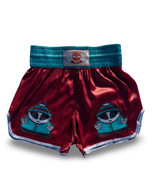 All Angels Are Aliens Muay Thai Shorts (S)