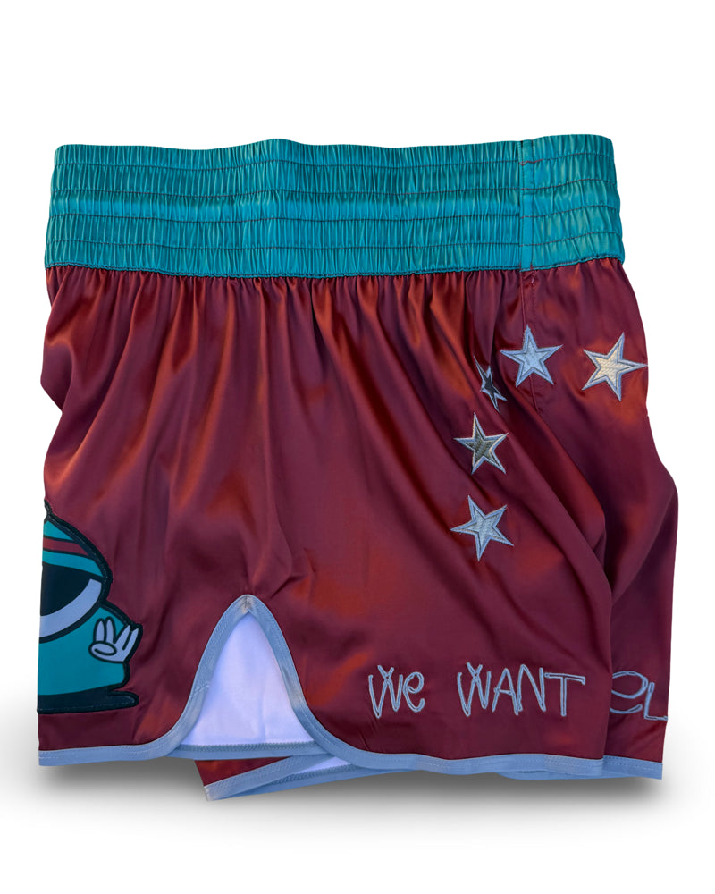 All Angels Are Aliens Muay Thai Shorts (S)