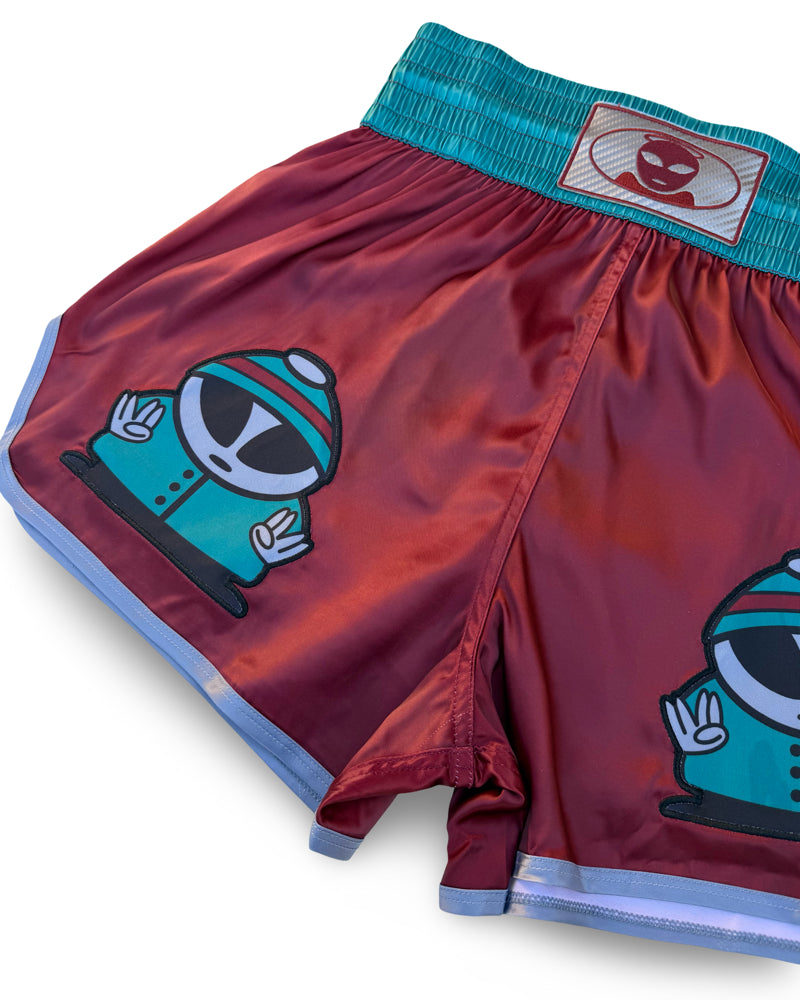 All Angels Are Aliens Muay Thai Shorts (S)