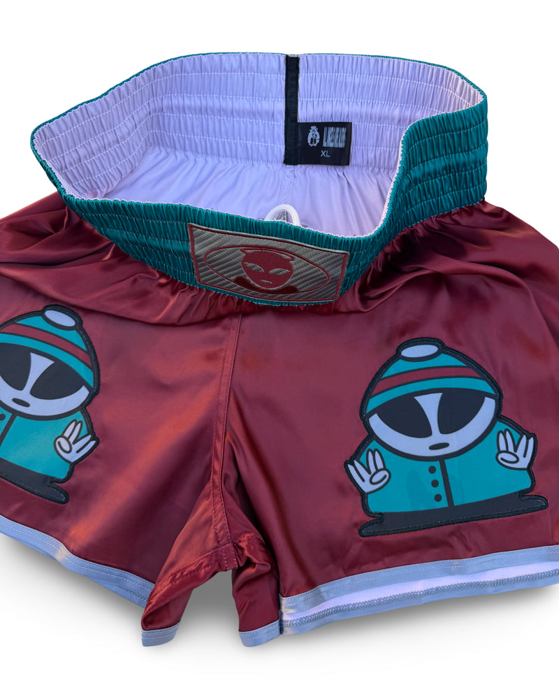 All Angels Are Aliens Muay Thai Shorts (S)